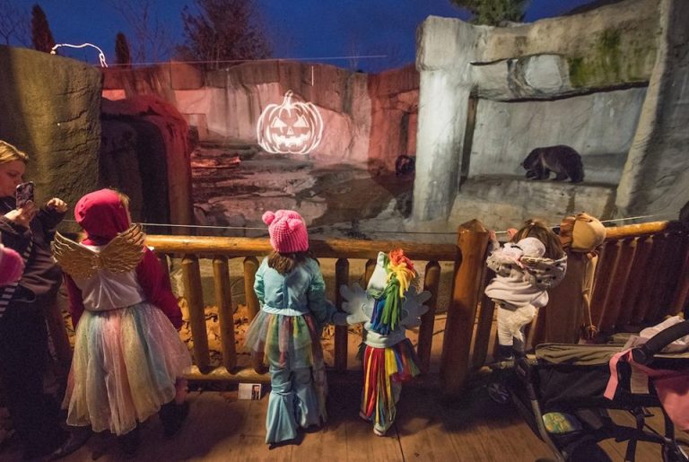 Last Chance to Experience Boo at the Zoo! On Cleveland